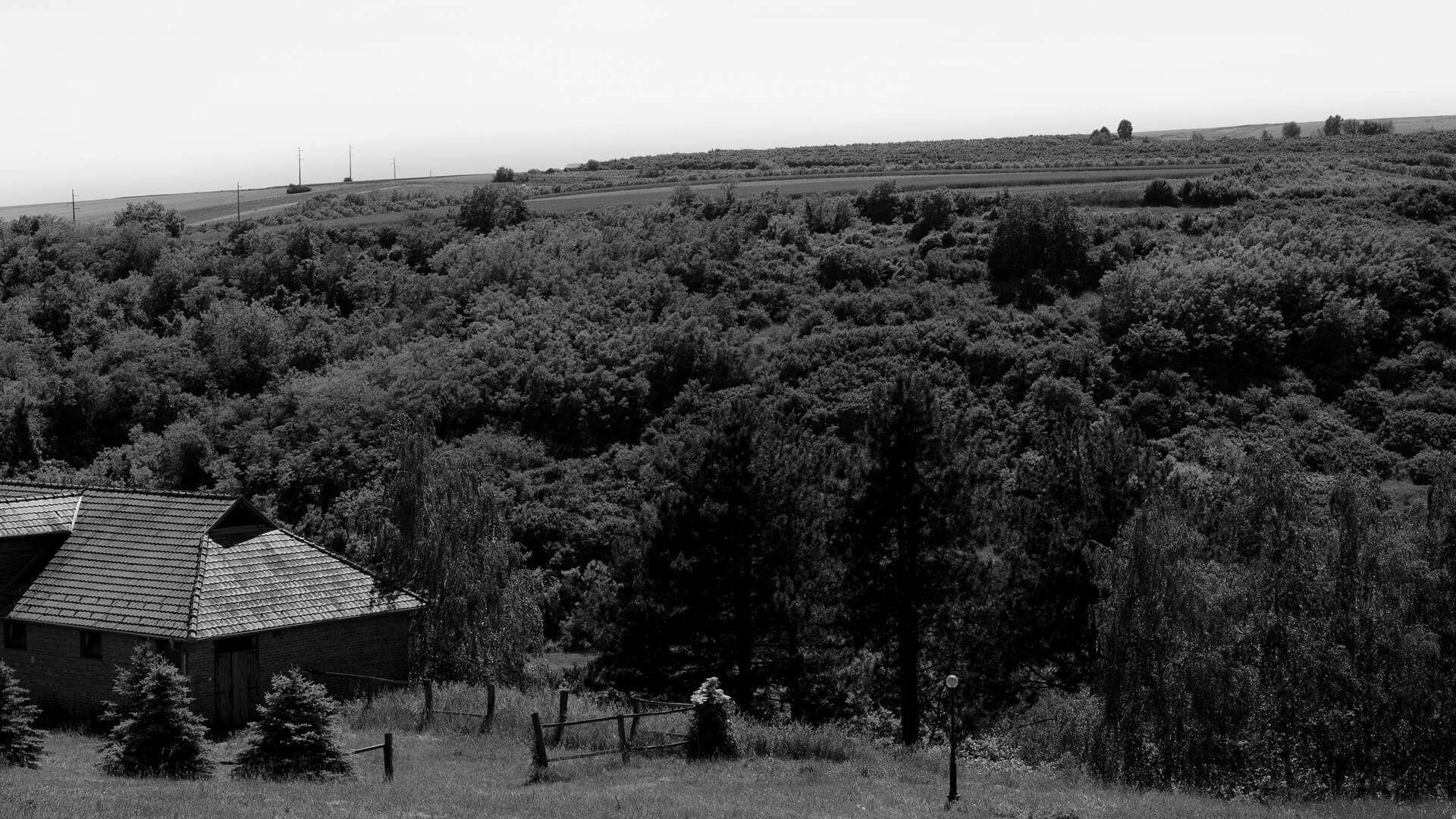 Memento Distillery Teodor Vrdnik